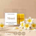 Fondant parfumé Monoï